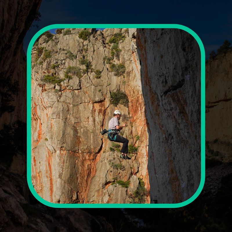 Mentaltraining Halle 1/2 Tag