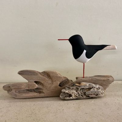 Oystercatcher Freestanding With Brown Kraft Box