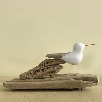 Herring Gull freestanding On Driftwood Boxed