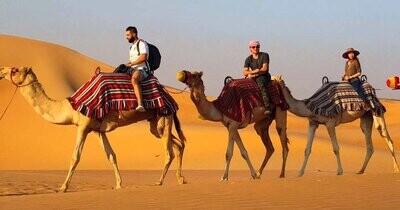 Evening Desert Safari