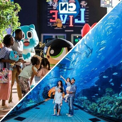 IMG World of Adventure + Dubai Mall Aquarium Ticket