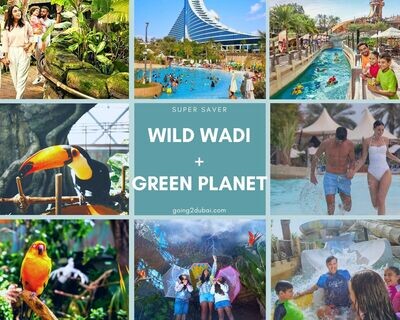 Wild Wadi Waterpark + The Green Planet
