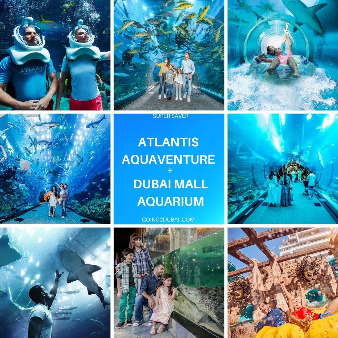 Atlantis Aquaventure + Dubai Mall Aquarium Combo