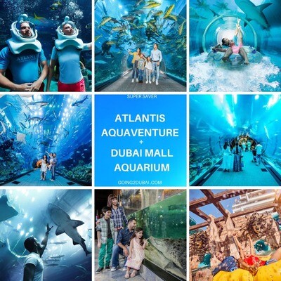 Atlantis Aquaventure + Dubai Mall Aquarium Combo