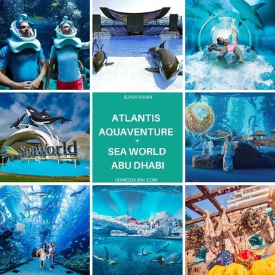Atlantis Aquaventure + Sea World