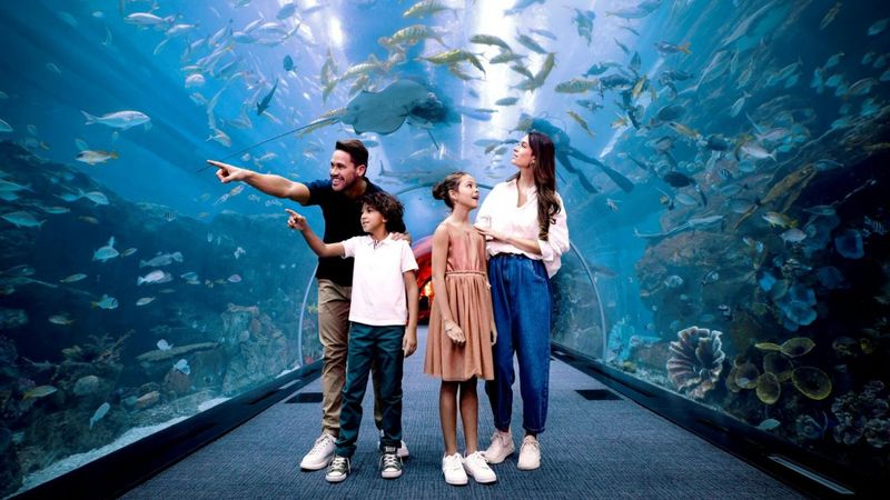 Dubai Mall Aquarium - All Access