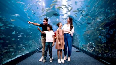 Dubai Mall Aquarium - All Access