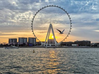 Ain Dubai Observation Wheel