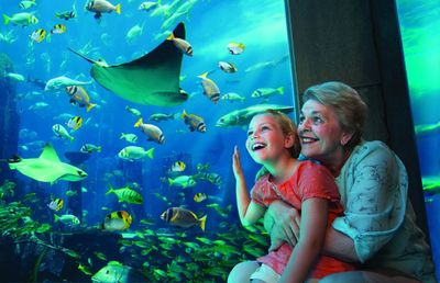 The Lost Chambers Aquarium