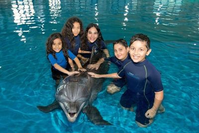 Dolphin Meet And Greet - Dubai Dolphinarium