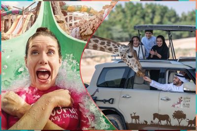 YAS Waterworld + Al Ain Zoo