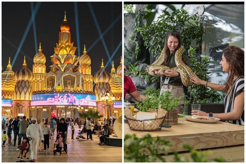 The Green Planet + Global Village