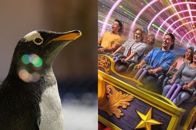 Dubai Aquarium & Penguin Cove + Motiongate Dubai Dubai Aquarium & Penguin Cove + Motiongate Dubai