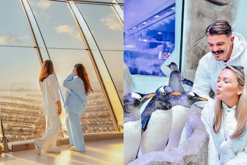 Dubai Aquarium + The View At The Palm Jumeirah
