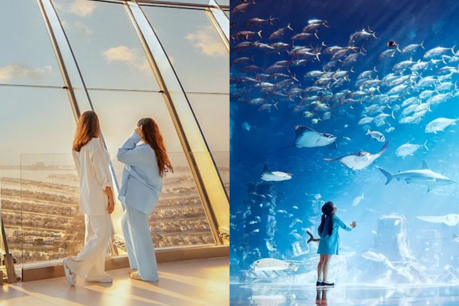The Lost World Aquarium + The View At The Palm Jumeirah