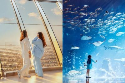 The Lost World Aquarium + The View At The Palm Jumeirah