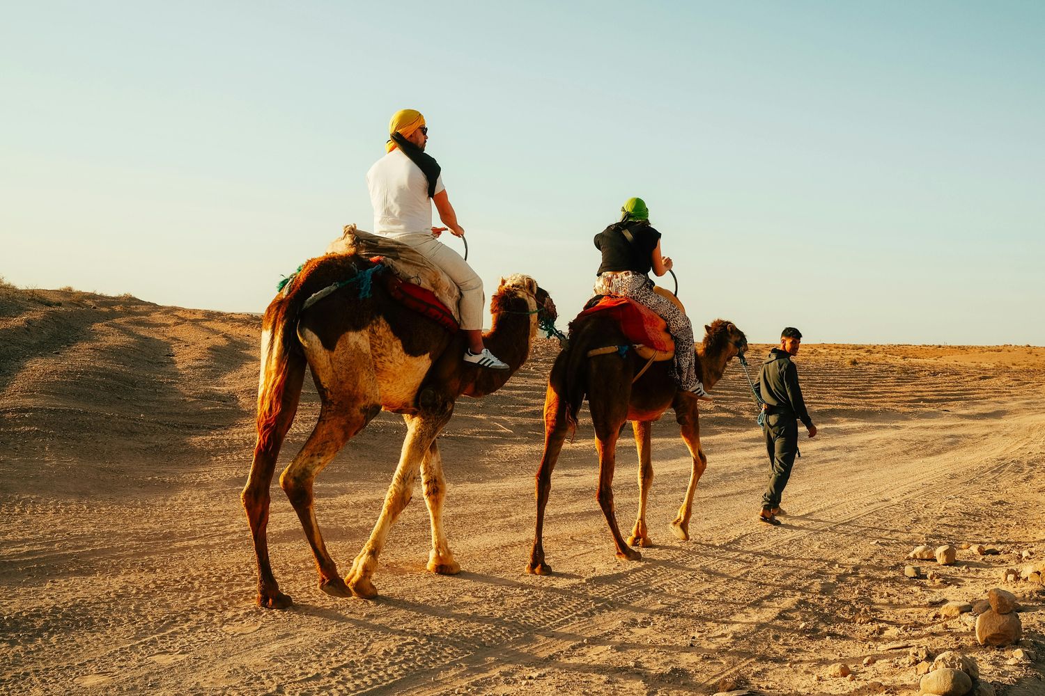 Camel Riding In Dubai