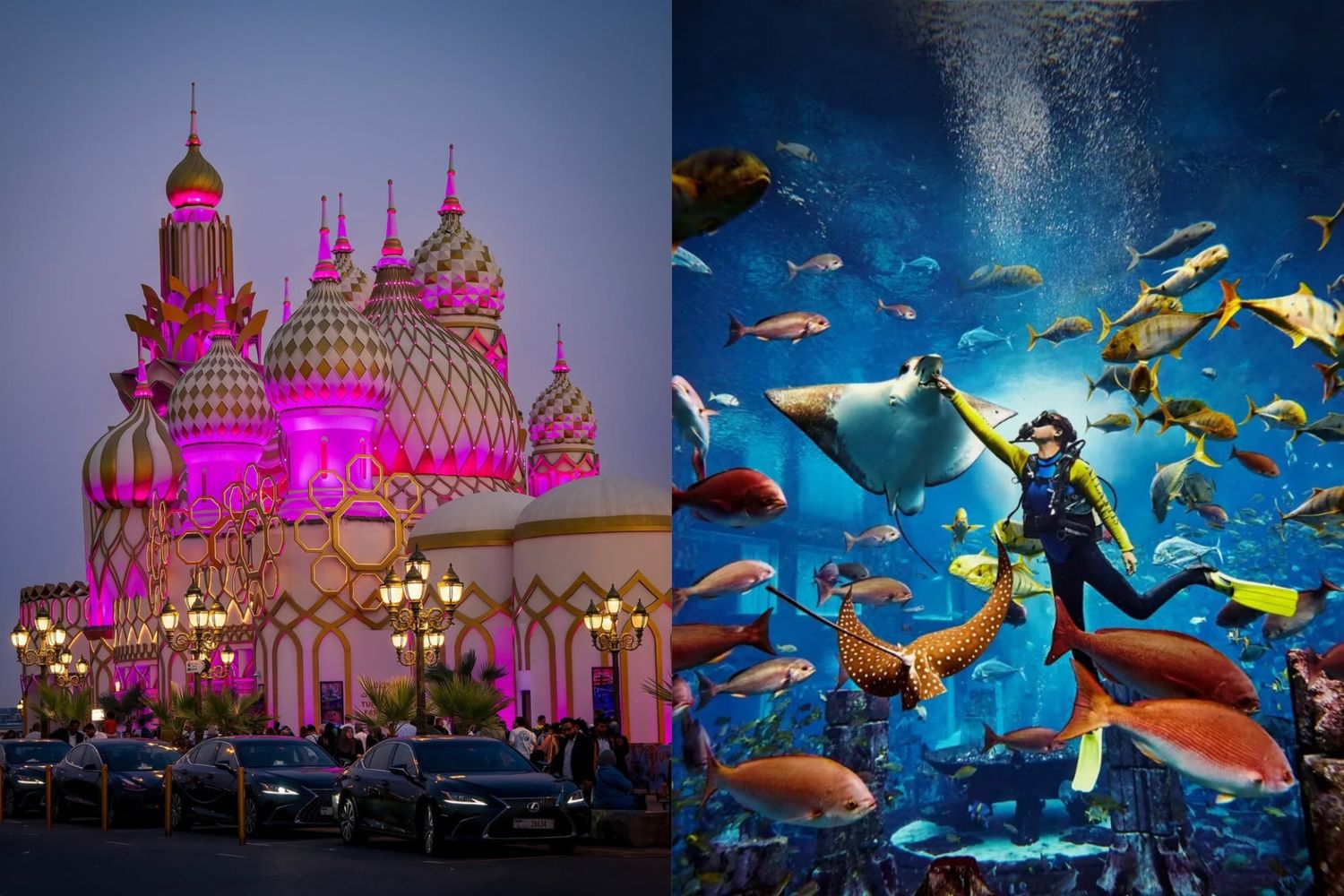 Global Village + Dubai Aquarium And Penguin Cove