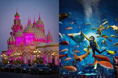 Global Village + Dubai Aquarium And Penguin Cove
