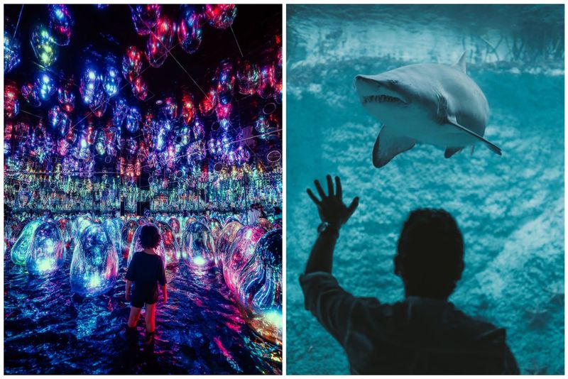 TeamLab Phenomena + The National Aquarium Abu Dhabi