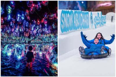 TeamLab Phenomena + Snow Abu Dhabi Day Pass