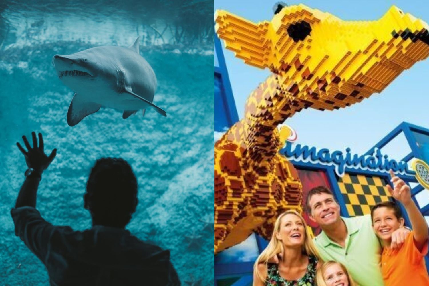 The Lost World Aquarium + LEGOLAND Dubai