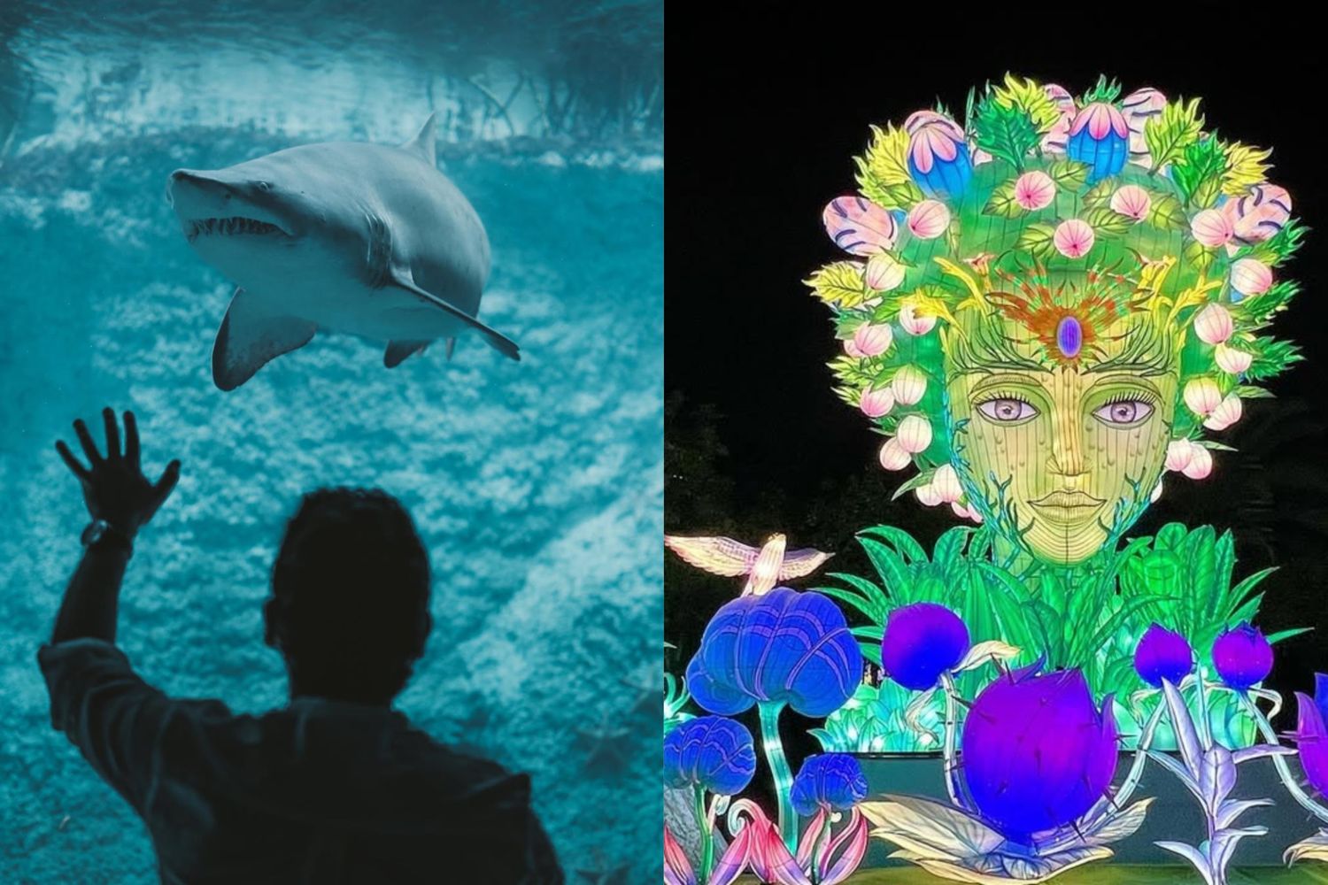 The Lost World Aquarium + Glow Garden Dubai