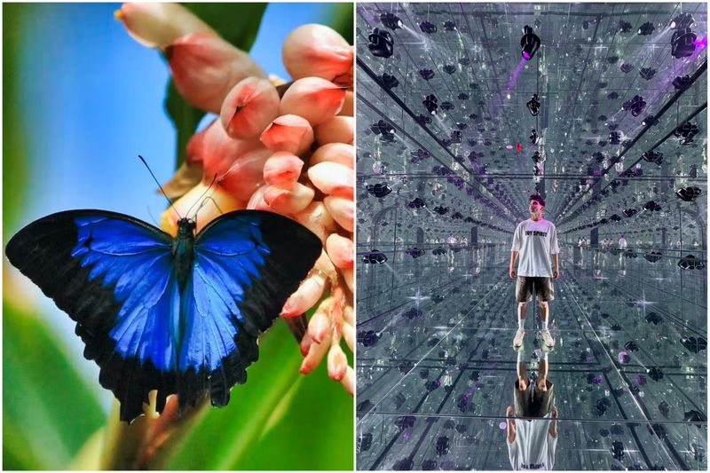 ذا جرين بلانيت دبي