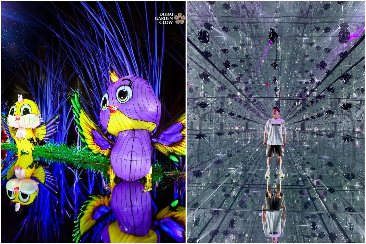 AYA Universe + Garden Glow Dubai