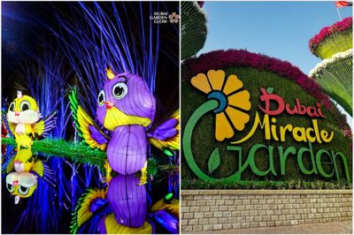 Miracle Garden + Garden Glow Dubai Miracle Garden + Garden Glow Dubai