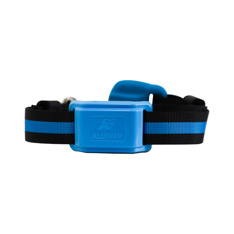 Viedā kaklasiksna - lopkopības pārvaldības sistēma ALLYNAV