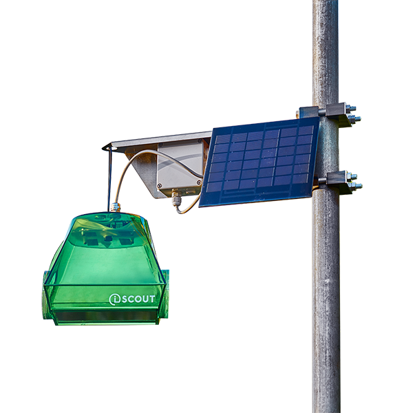 Kukaiņu novērošanas kameras iSCOUT