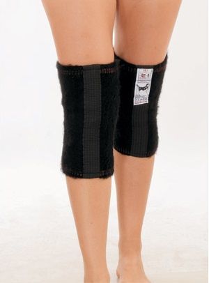 Dog Knee Pad