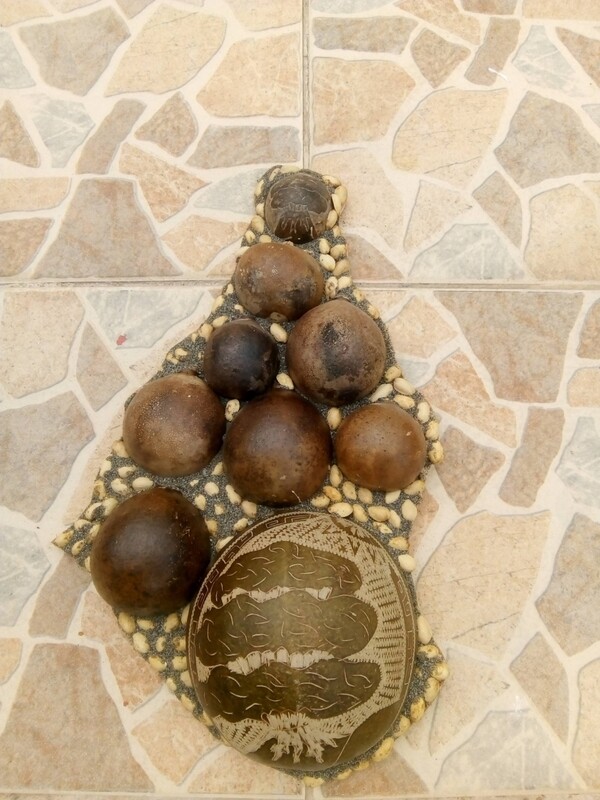 Calabash Craft