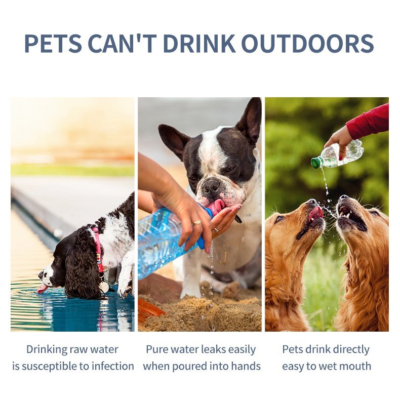 Will Spraying Dog With Water Stop Biting