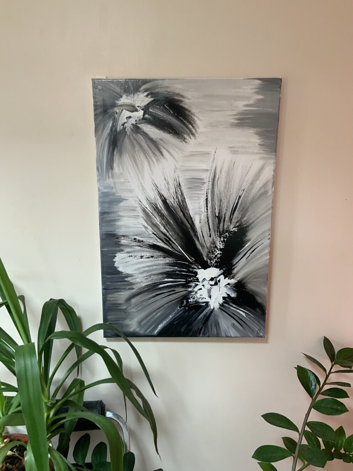 Starburst Black/White