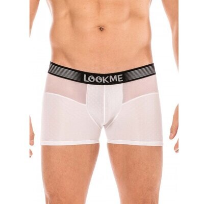Boxer