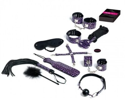 Kit BDSM Master and Slave Premium - 3 coloris