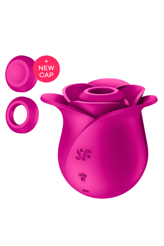 Stimulateur de clitoris rose Pro 2 Modern Blossom Satisfyer
