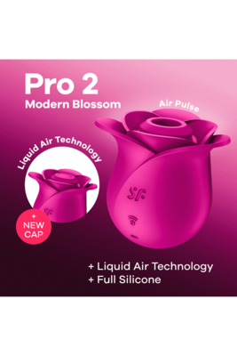 Stimulateur de clitoris rose Pro 2 Modern Blossom Satisfyer