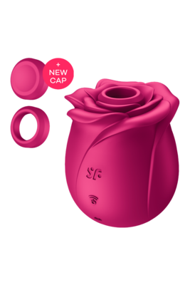 Stimulateur de clitoris rose Pro 2 Classic Blossom Satisfyer