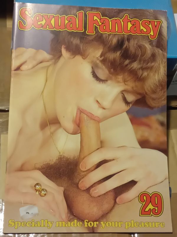 Sexual fantasy 29