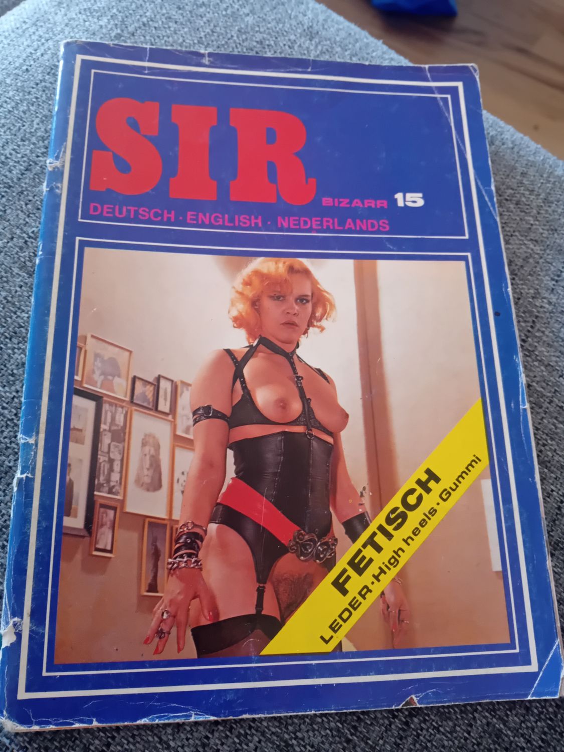 Sir 15