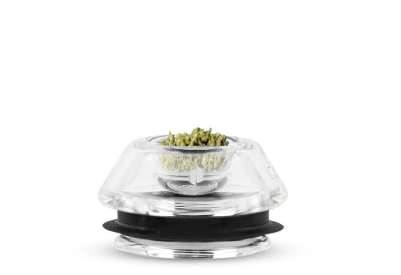 Proxy Flower Bowl