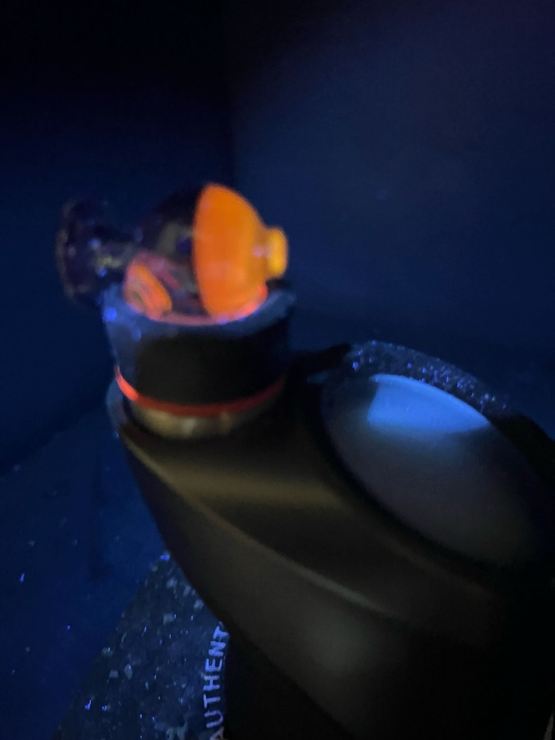 Charlie Shaw E-rig Cap