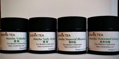 Premium Matcha Tea
