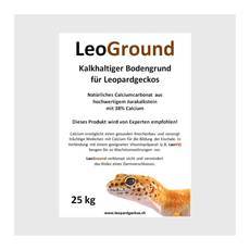 Bodengrund für Leopardgeckos