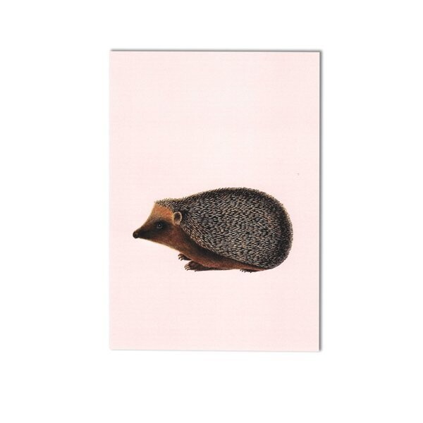 Kiss Postkarte mit Igel Kiss Postkarte mit Igel
