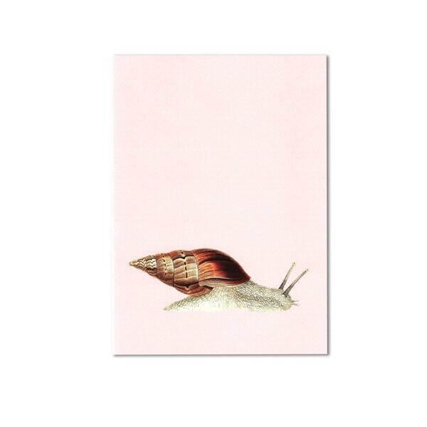 It`s You Postkarte mit Schnecke
