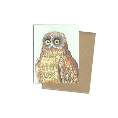 Mellow Owl Mini-Grußkarte mit Eule